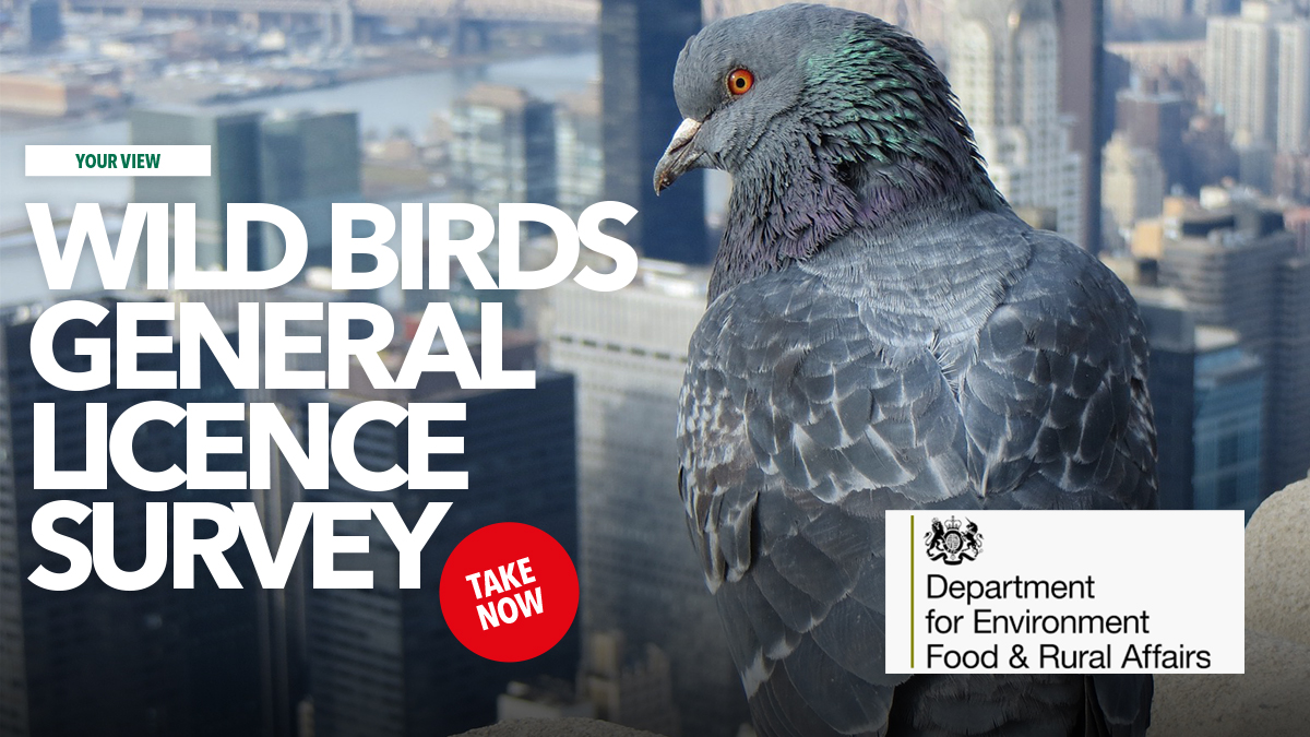 Wild bird general licence survey